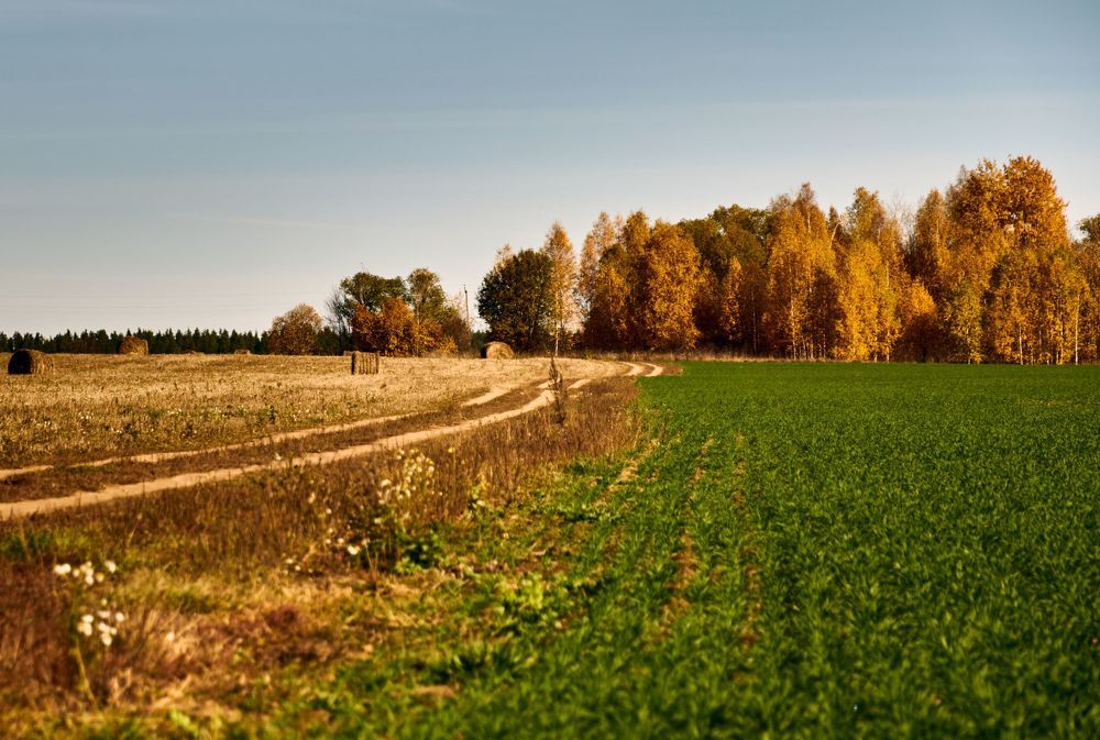 Photograph by Сергей Ветошкин