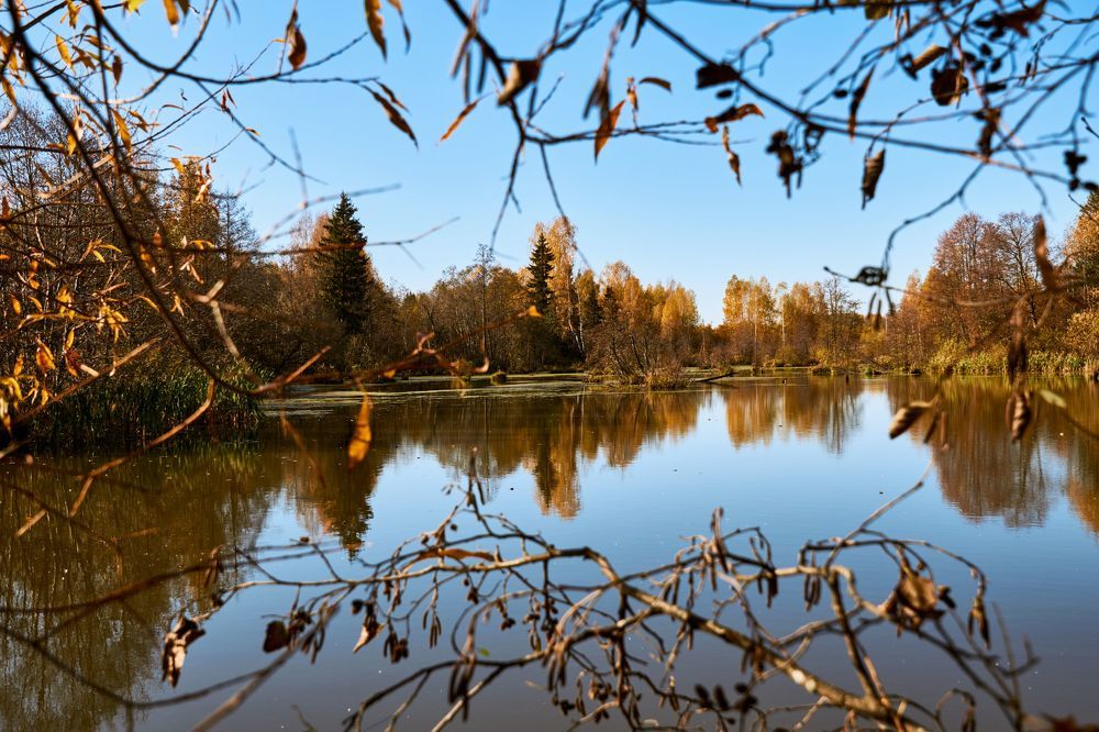 Photograph by Сергей Ветошкин