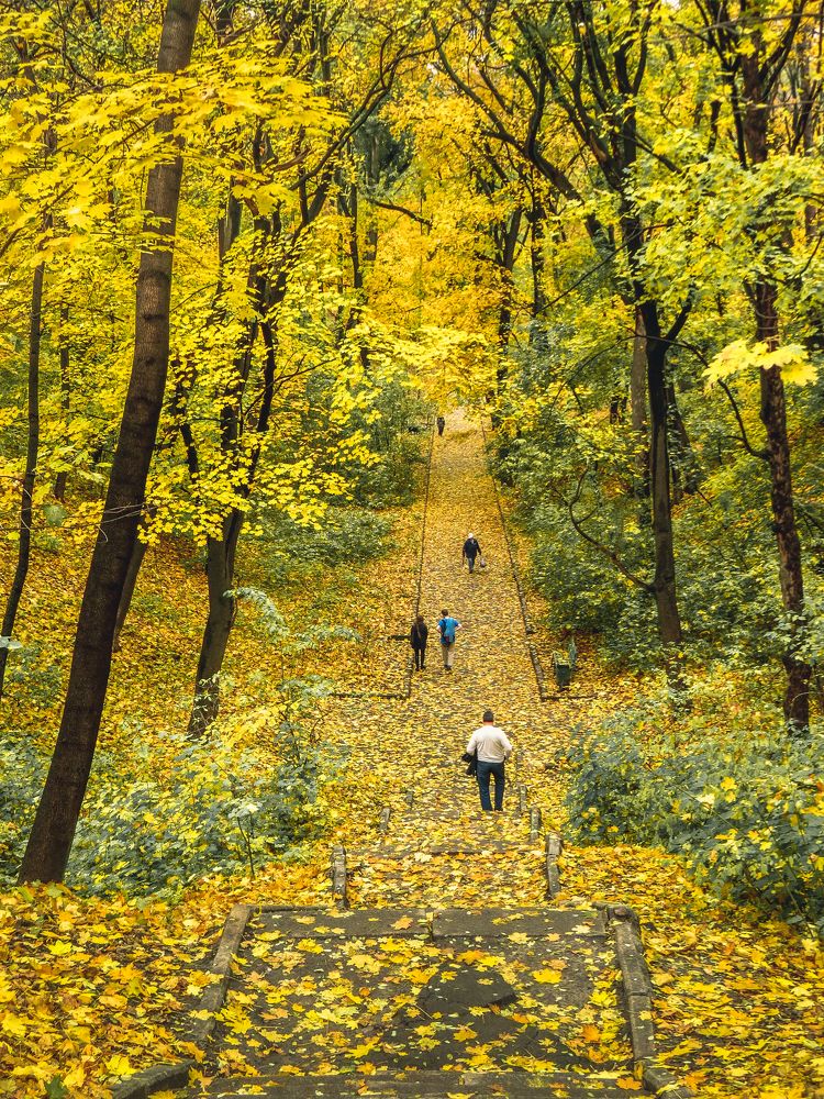 Photograph by Михаил Заброцкий