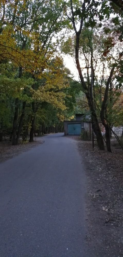 Photograph by Мила