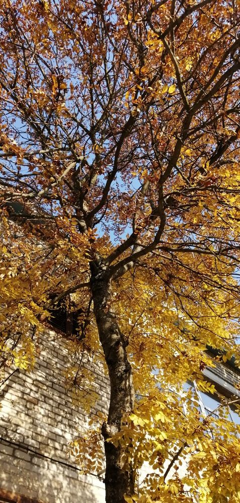 Photograph by Мила