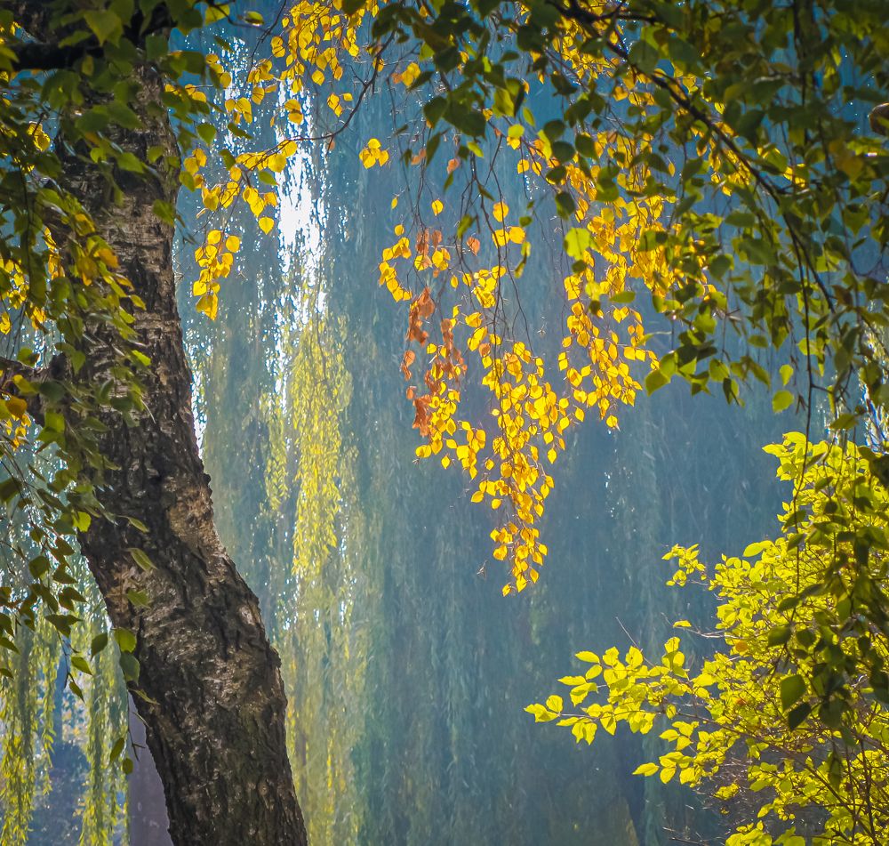 Photograph by Михаил Заброцкий