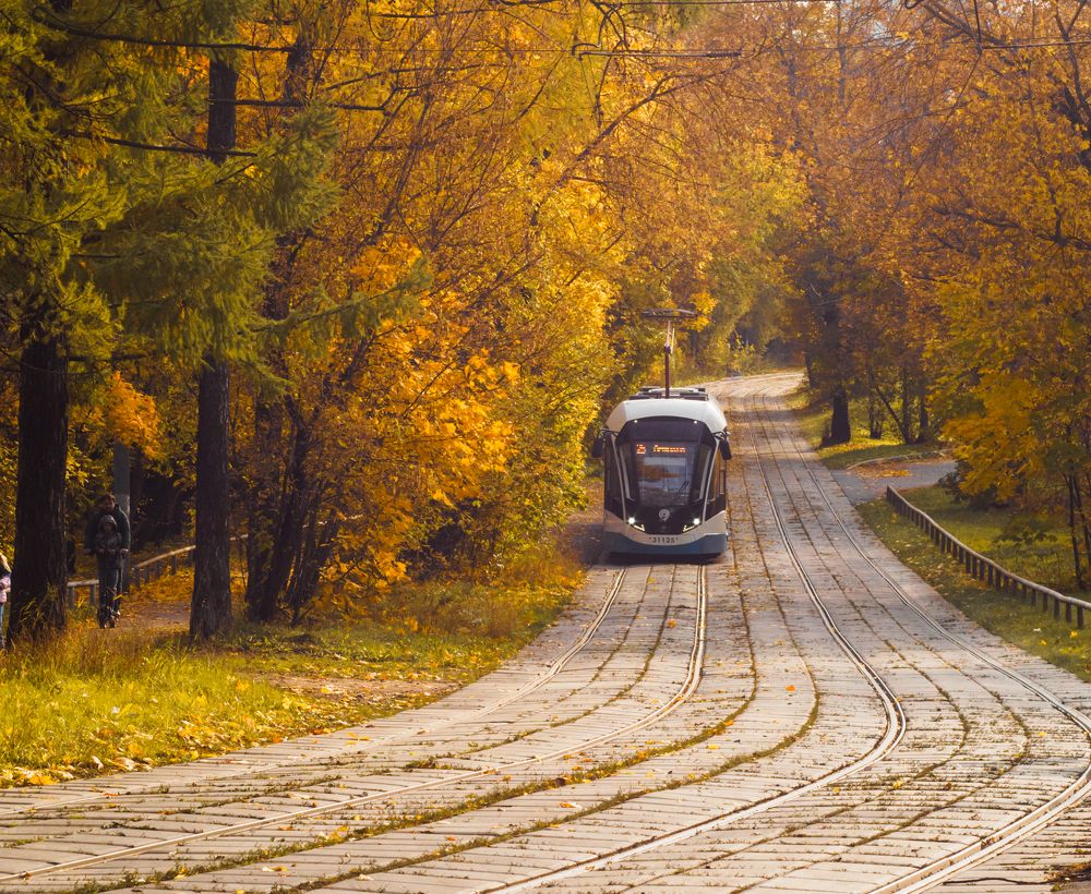 Photograph by Александр Устинов