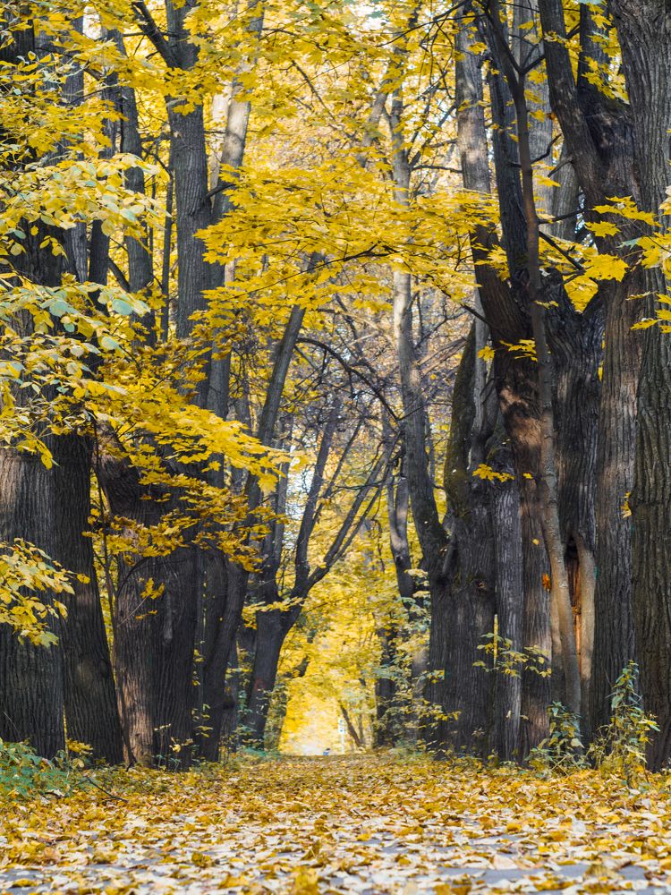 Photograph by Александр Устинов