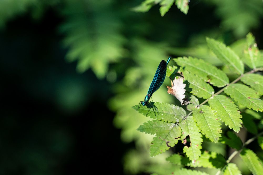 Photograph by Alexander Popov