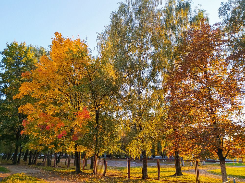 Photograph by Ирина Половцева