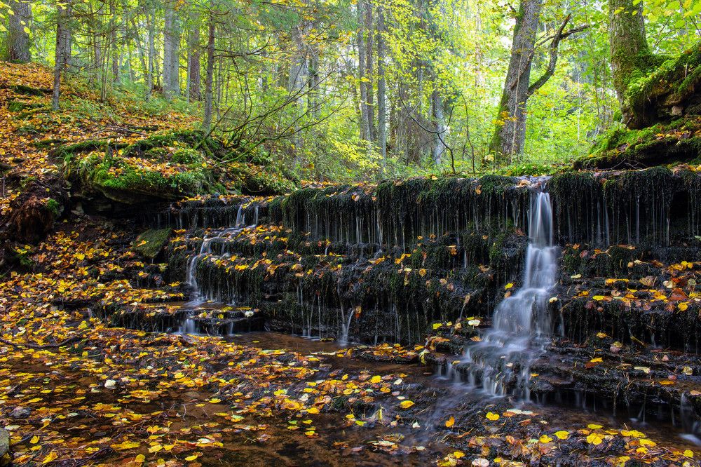 Photograph by Andres Papp