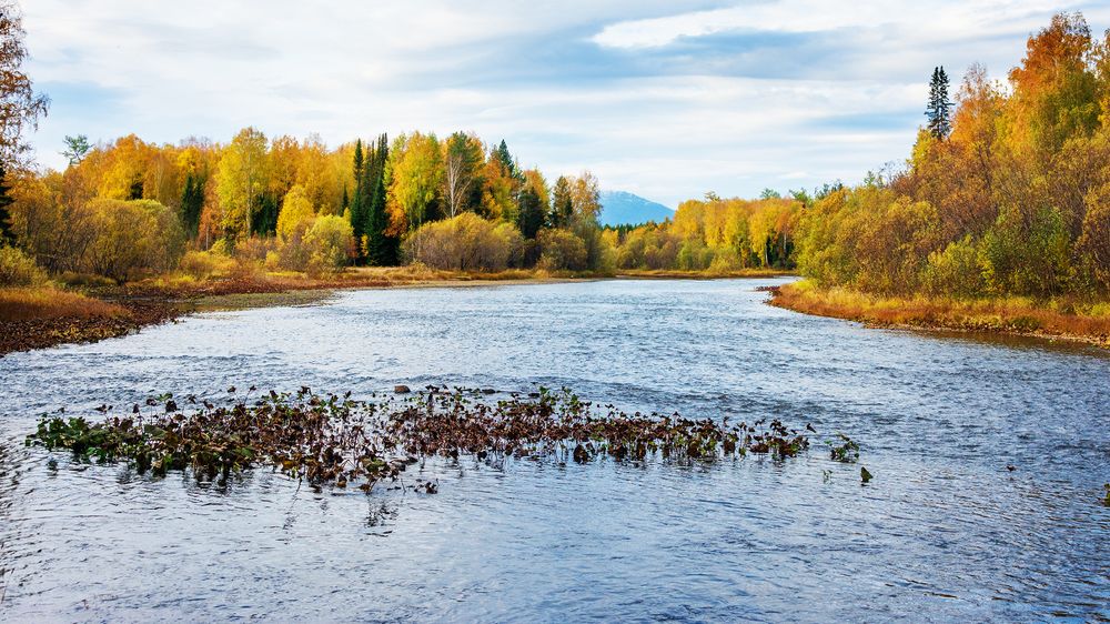 Photograph by Sergey L