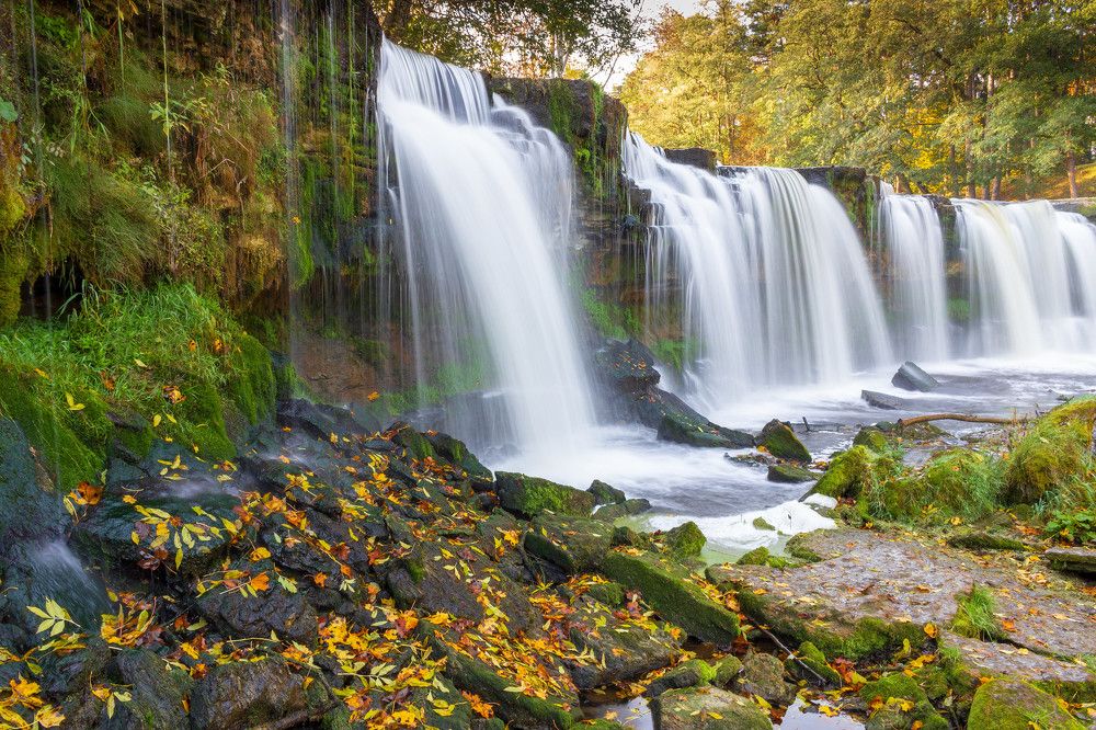 Photograph by Andres Papp