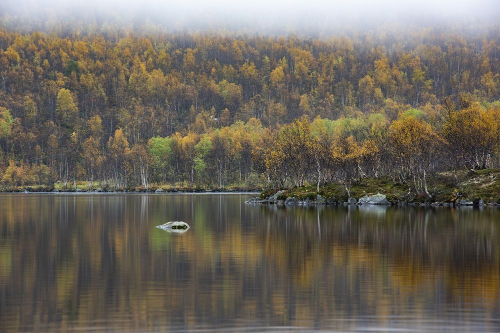 Photograph by Матвей Кармаков