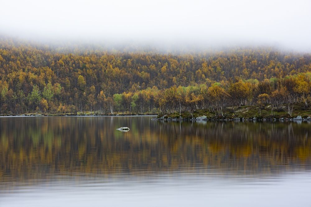 Photograph by Матвей Кармаков