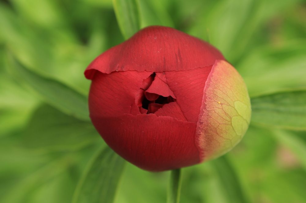 Photograph by Дарья Дрыночкина