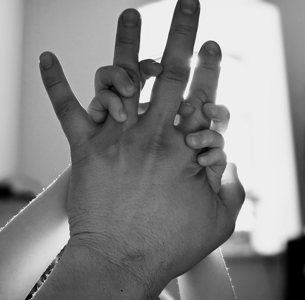 Photo #6558456