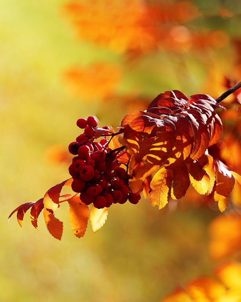 Photograph by Киселев Сергей