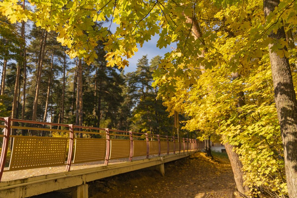 Photograph by Алексей Новиков