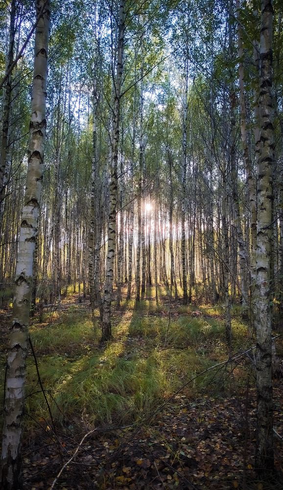 Photograph by Владимир Коновалов