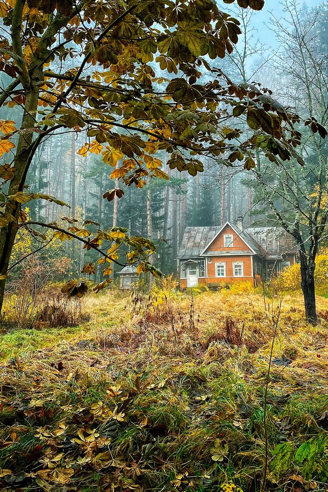 Photograph by Ирина Худзинская