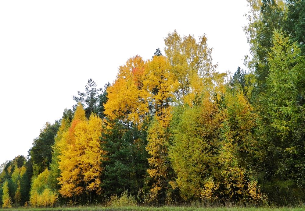 Photograph by Вячеслав Розмин