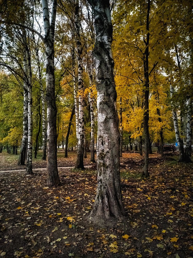 Photograph by Наталия Березина