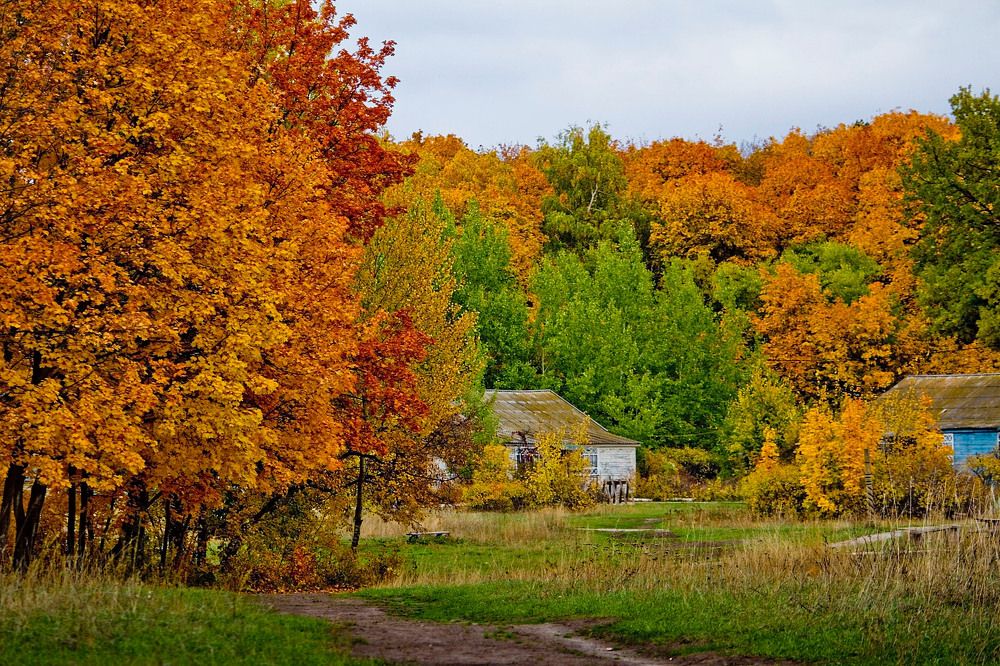 Photograph by Оксана