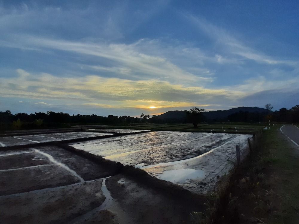 Photograph by Couple