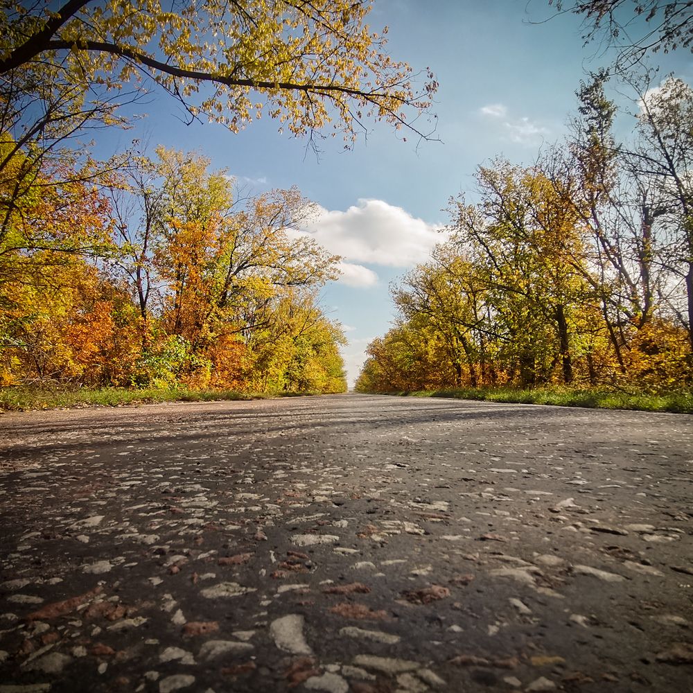 Photograph by Aleksandr777foto