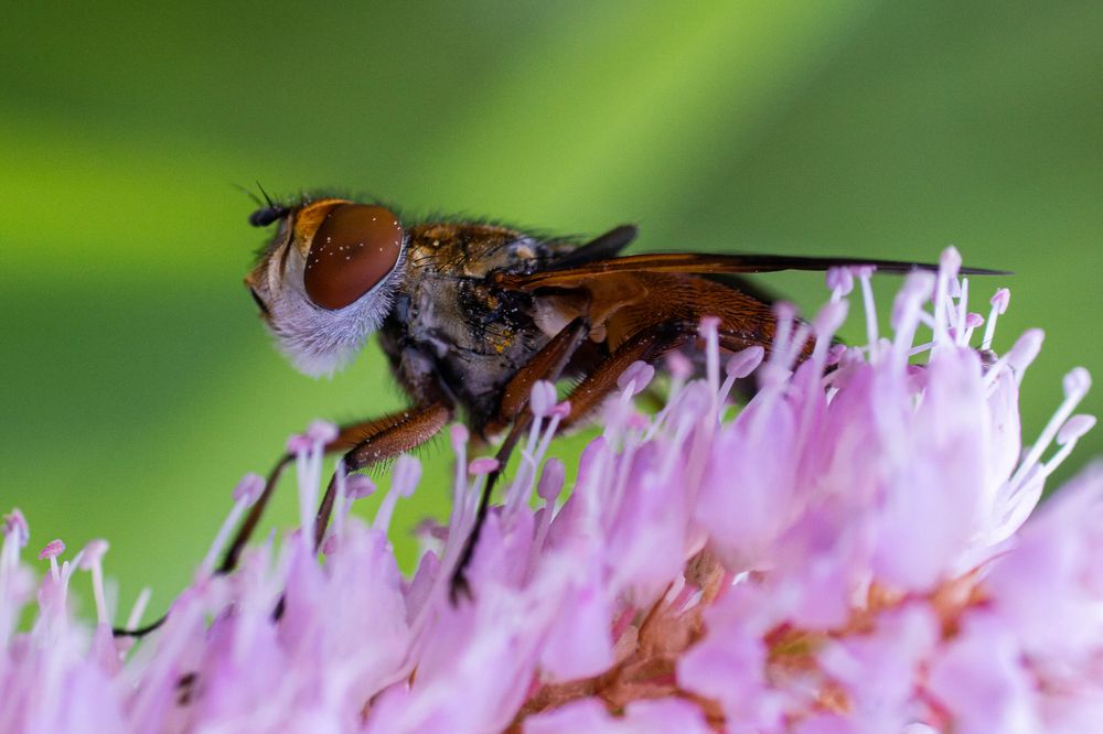 Photograph by Pavel Gusev