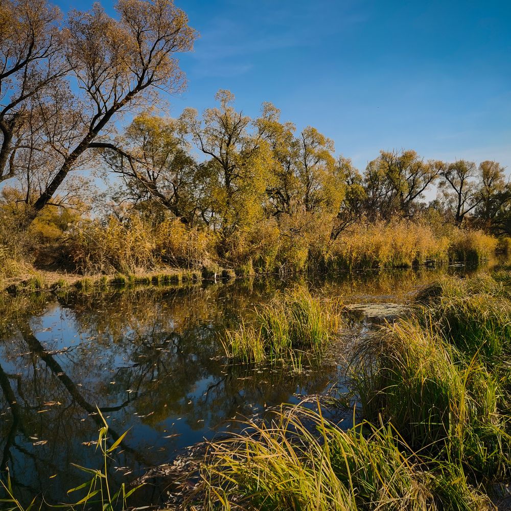 Photograph by Aleksandr777foto