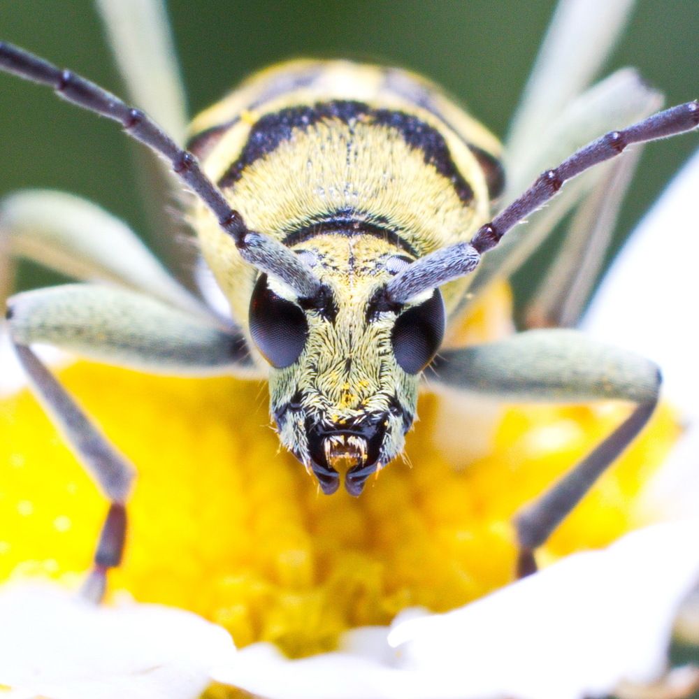 Photograph by Aleksandr777foto