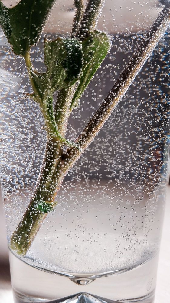 Photograph by Екатерина Мартынова