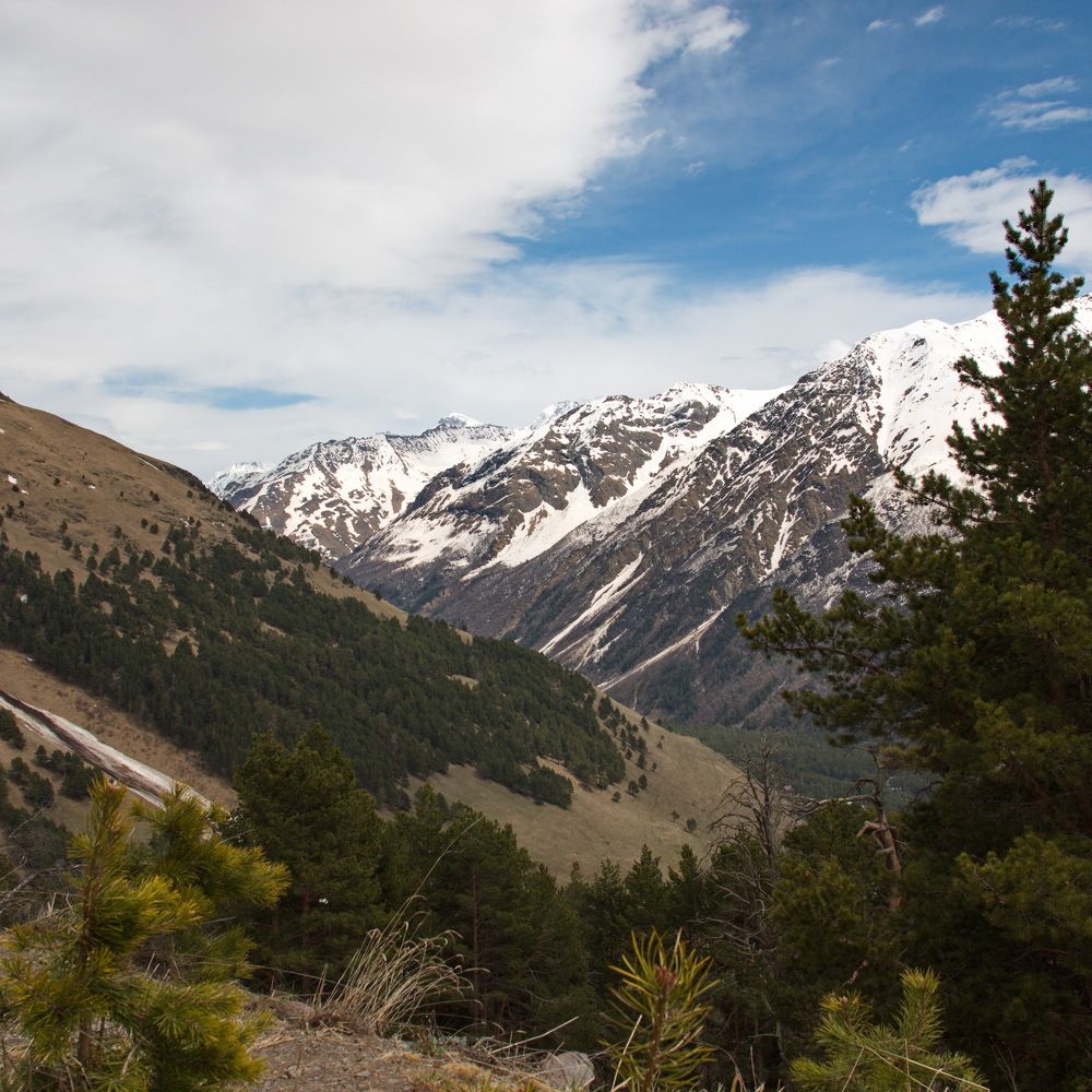 Photograph by Aleksandr777foto