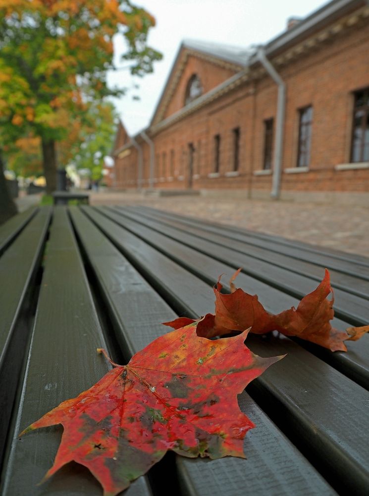 Photograph by Евгений Яковлев