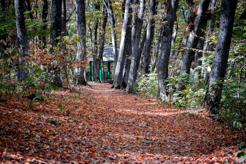 Photograph by Евгений Еськов