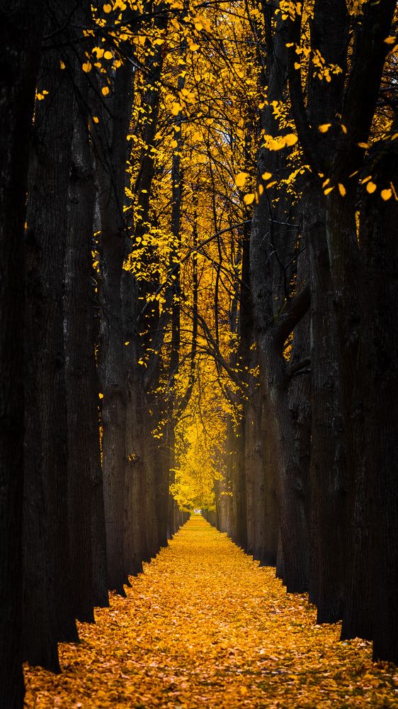 Photograph by Джавангир Сурхаев