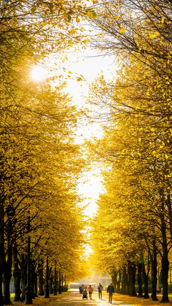 Photograph by Джавангир Сурхаев