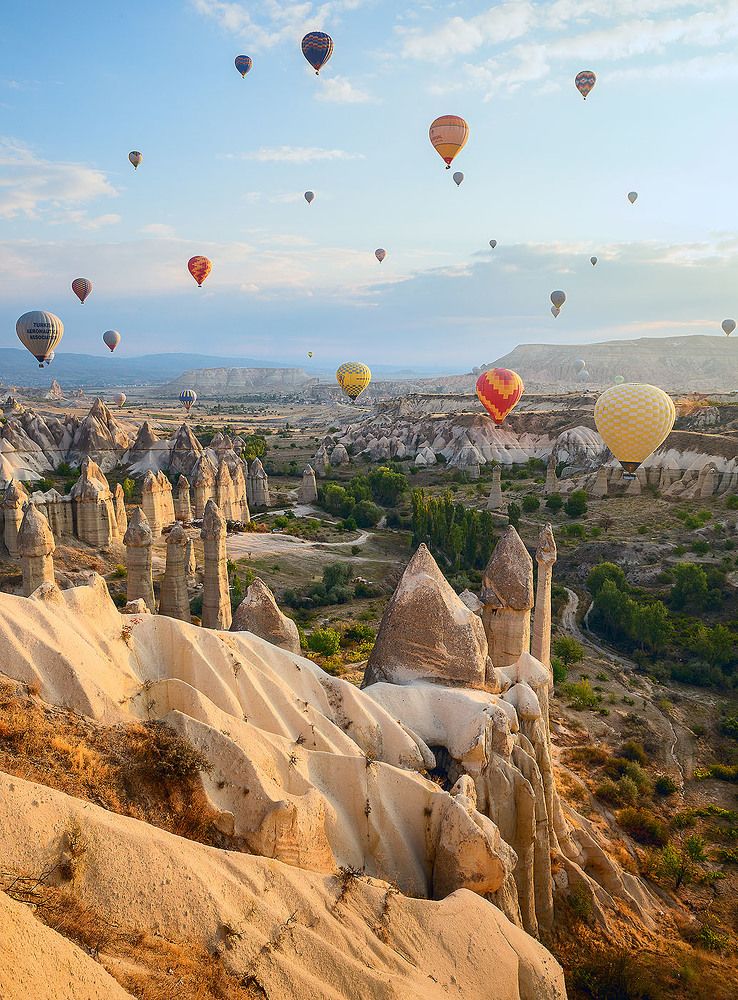 Солнцу навстречу