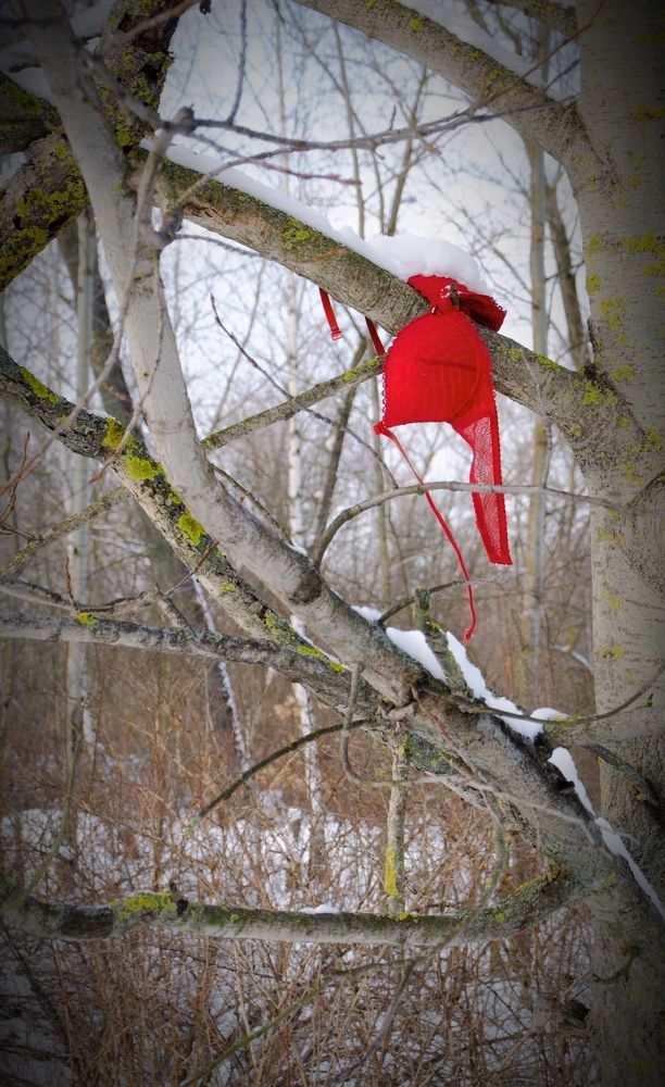 Photograph by Сергейн Сафонов