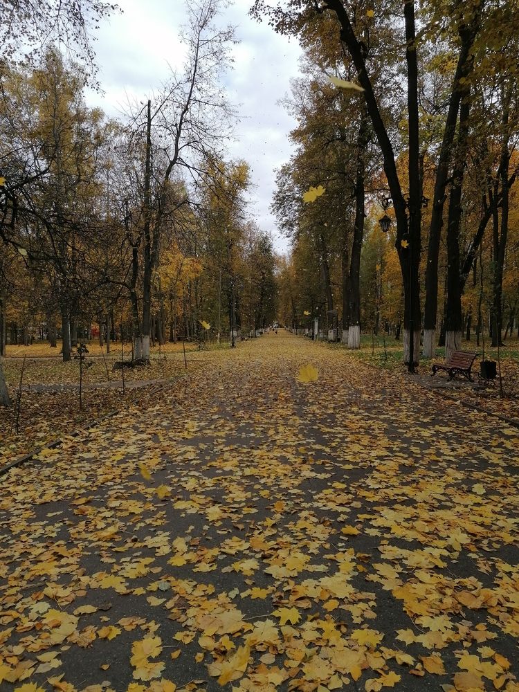 Photograph by Ксения Туваева