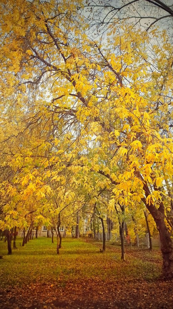 Photograph by Ольга Пономарева