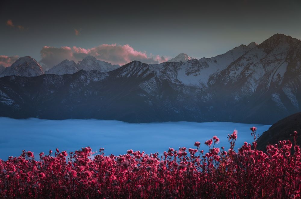 Краски Осени.