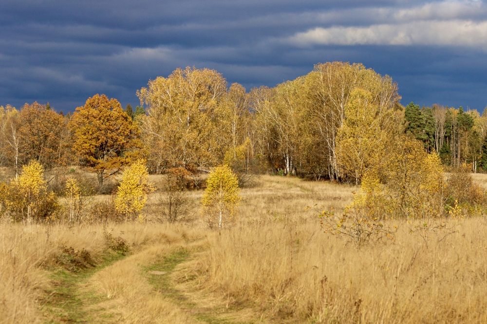 Photograph by Anna Levina