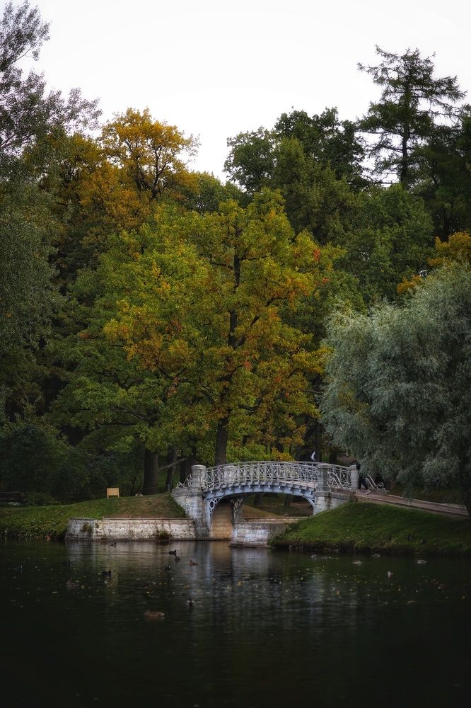 Photograph by Марина Алгаева