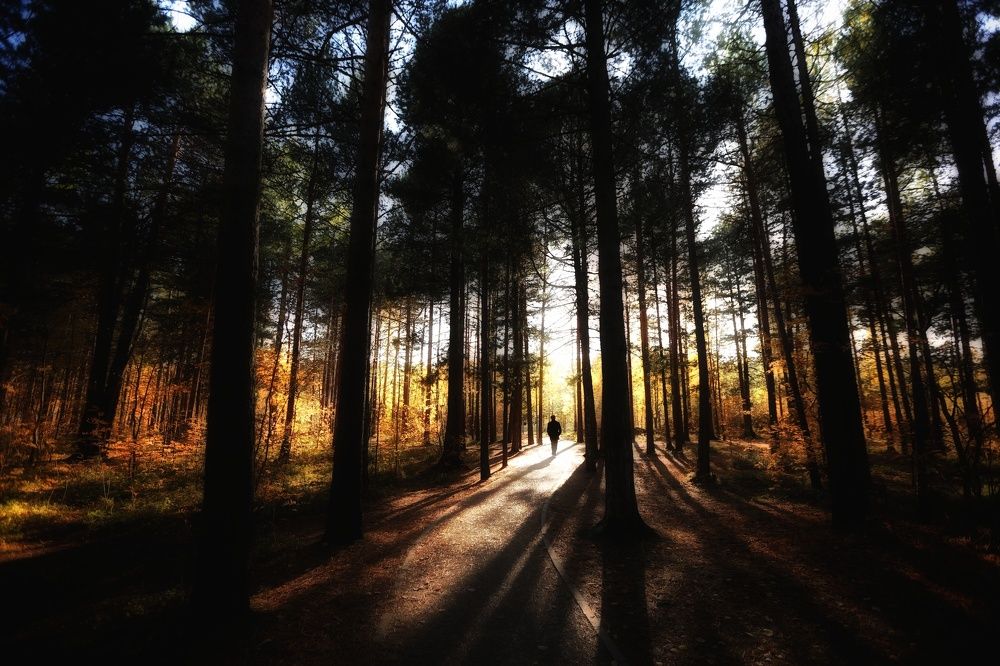 Photograph by Марина Алгаева