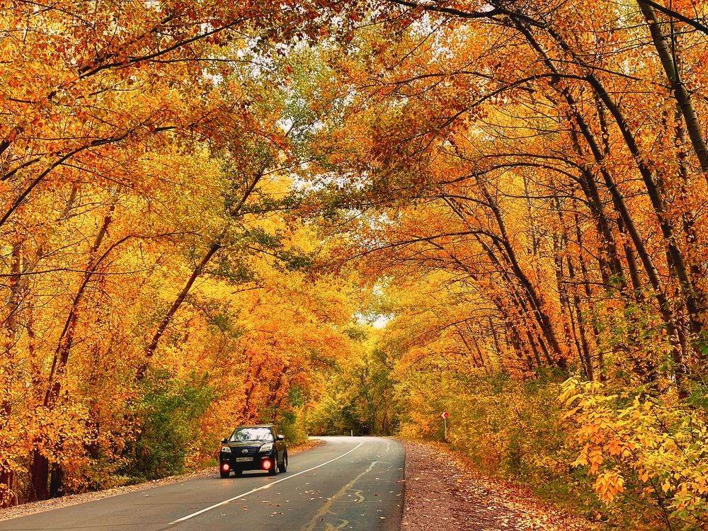 Photograph by Елена Гарибян