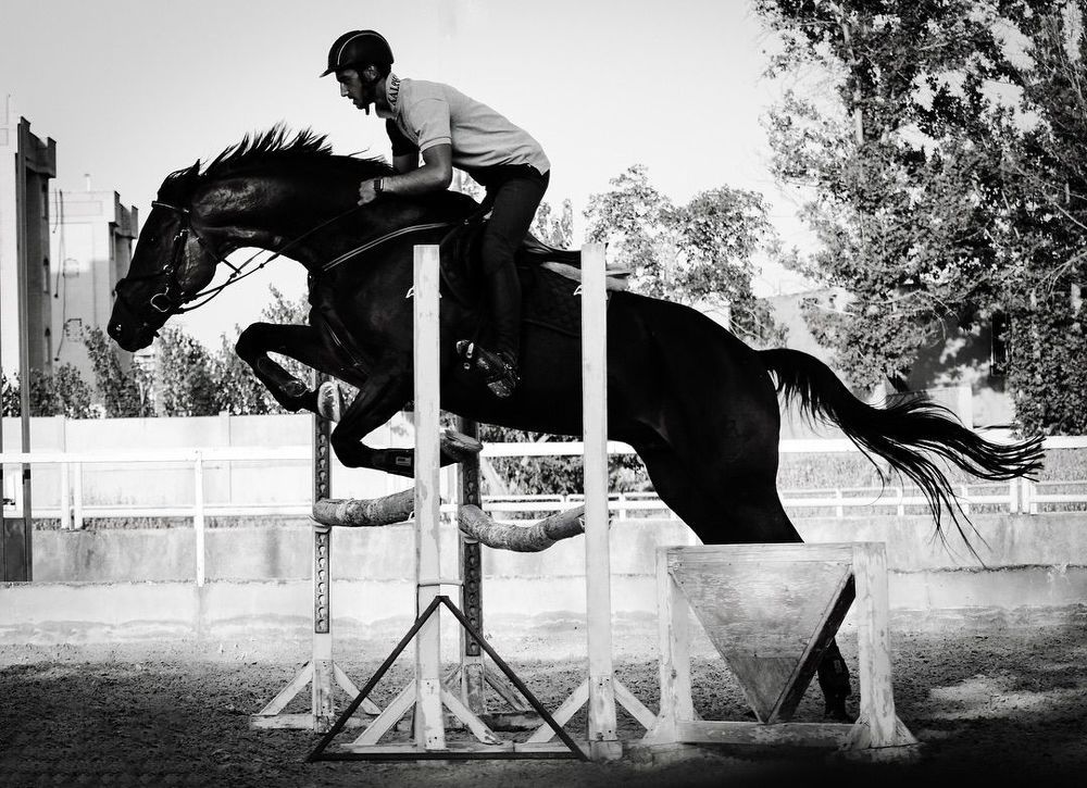 Photograph by Hamed Madani