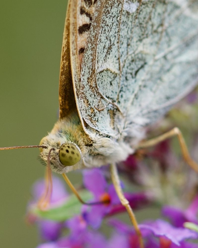 Photograph by Алексей Шевченко