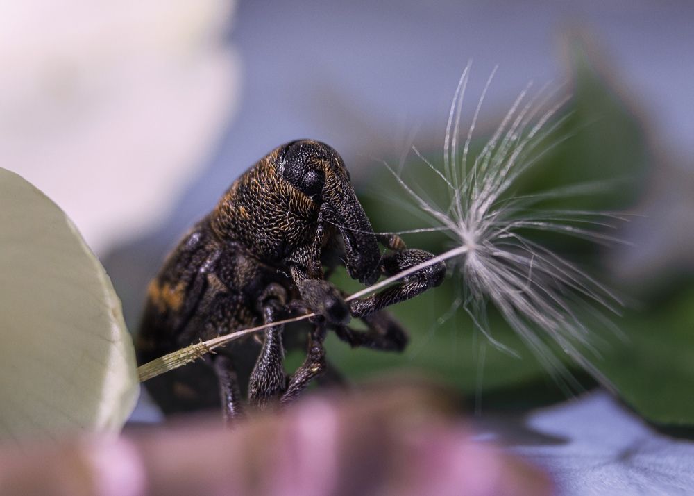 Скоро ветер переменится..