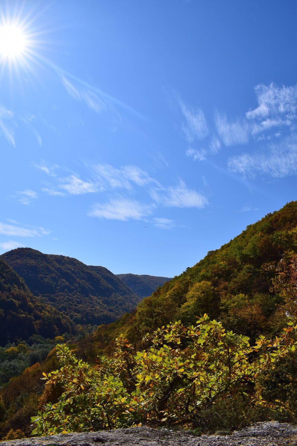 Photo #6559054