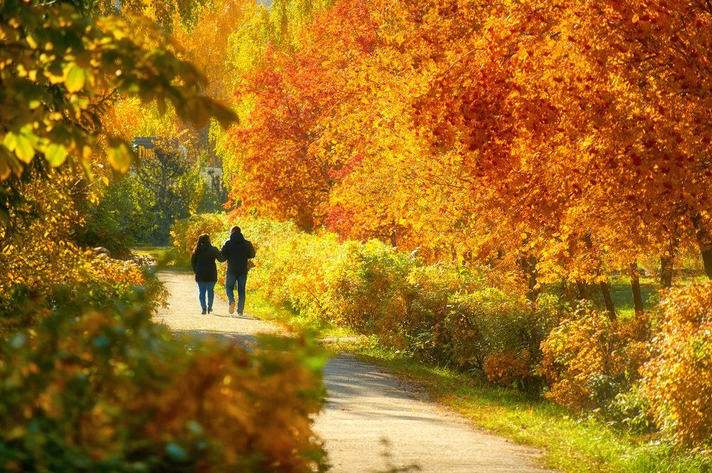 Photograph by Alexander Coin