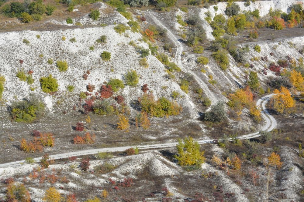 Photograph by БРОВКО АЛЕКСАНДР ИВАНОВИЧ